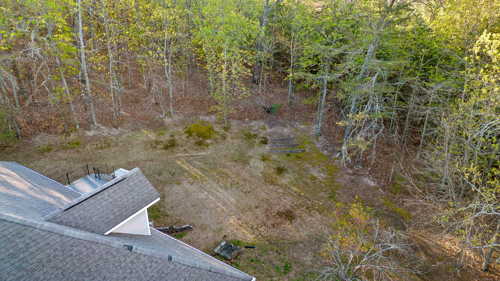 8710 Hidden Branches Road Property Photo 68