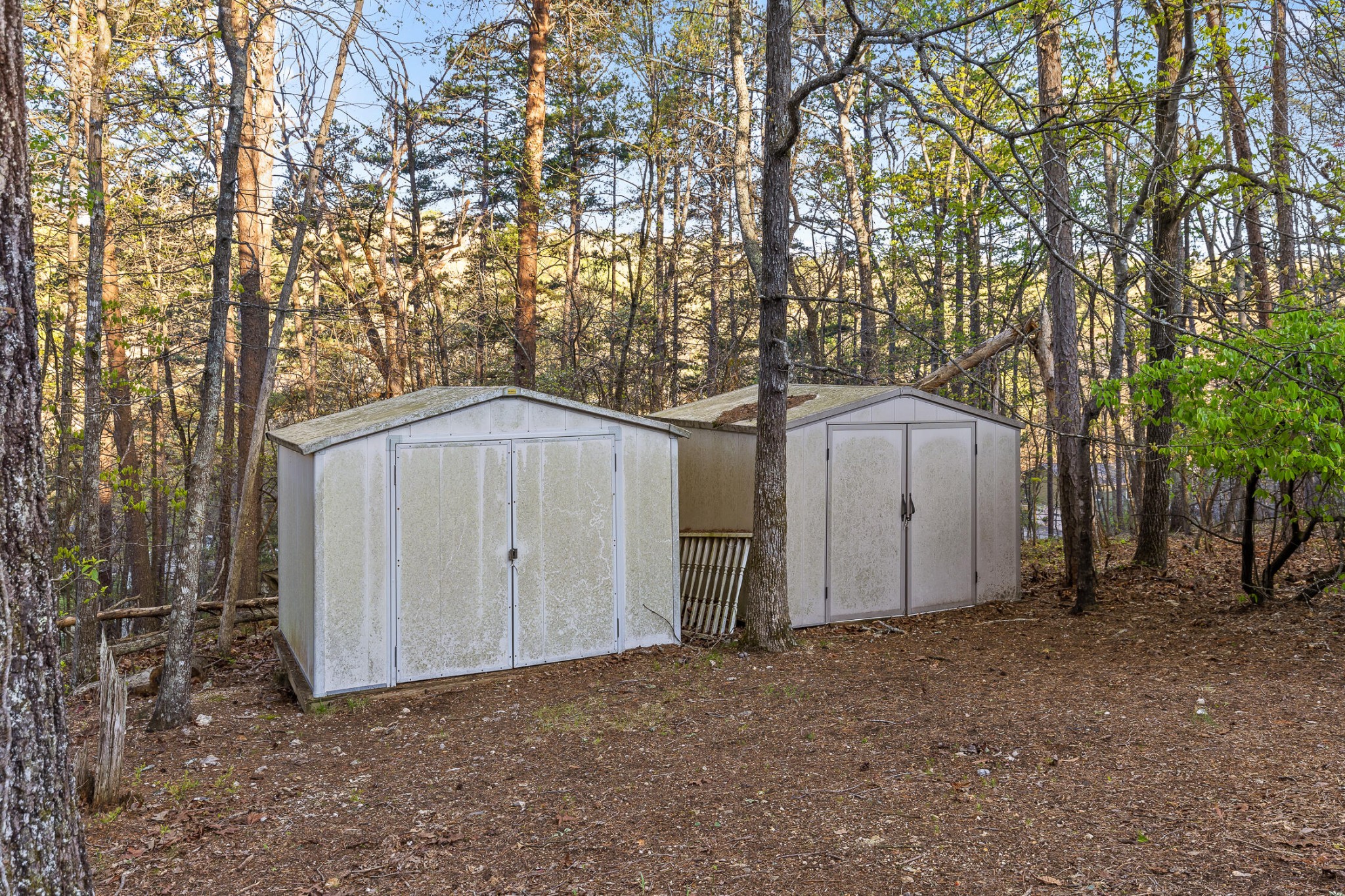8710 Hidden Branches Road Property Photo 81
