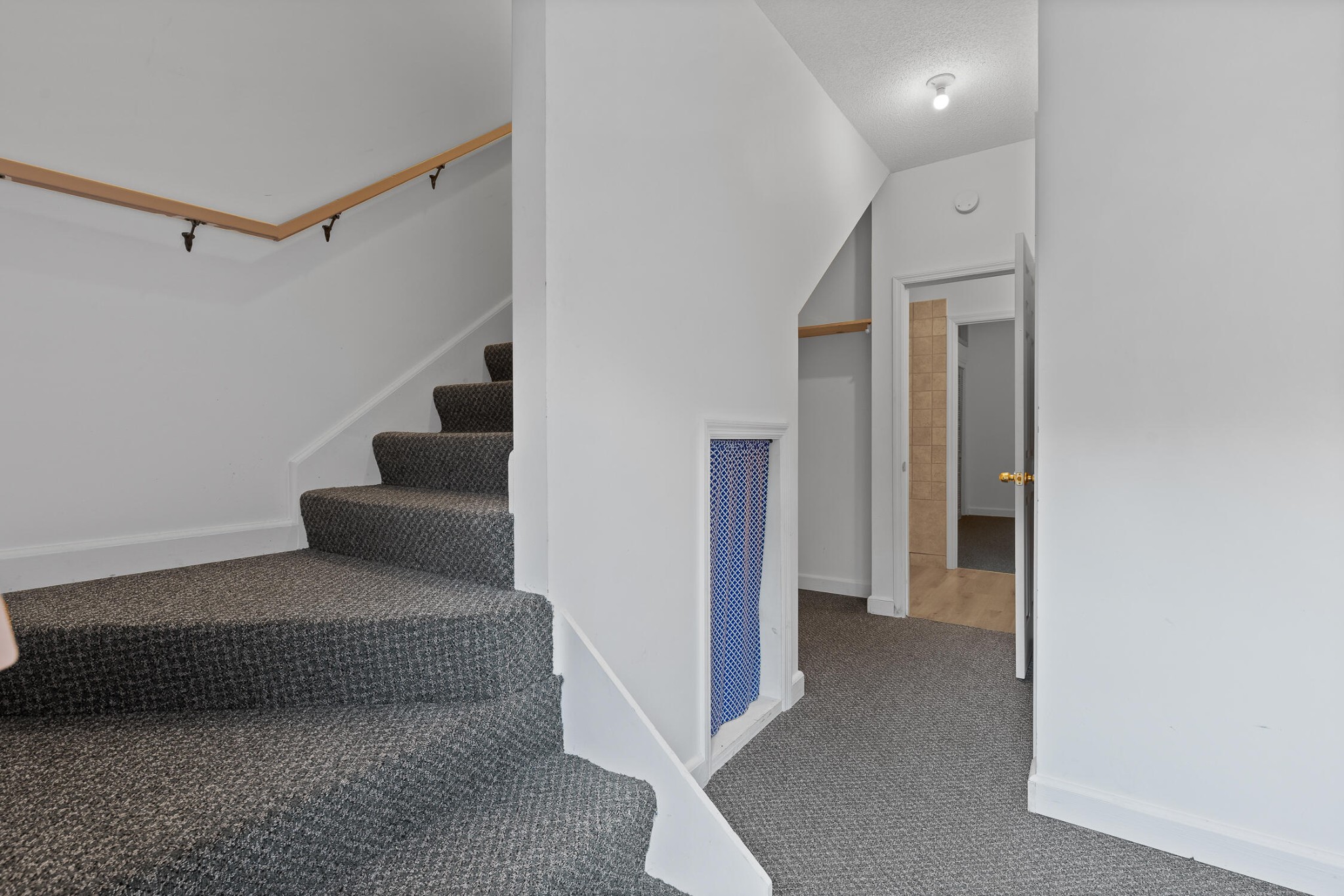 8710 Hidden Branches Road Property Photo 82