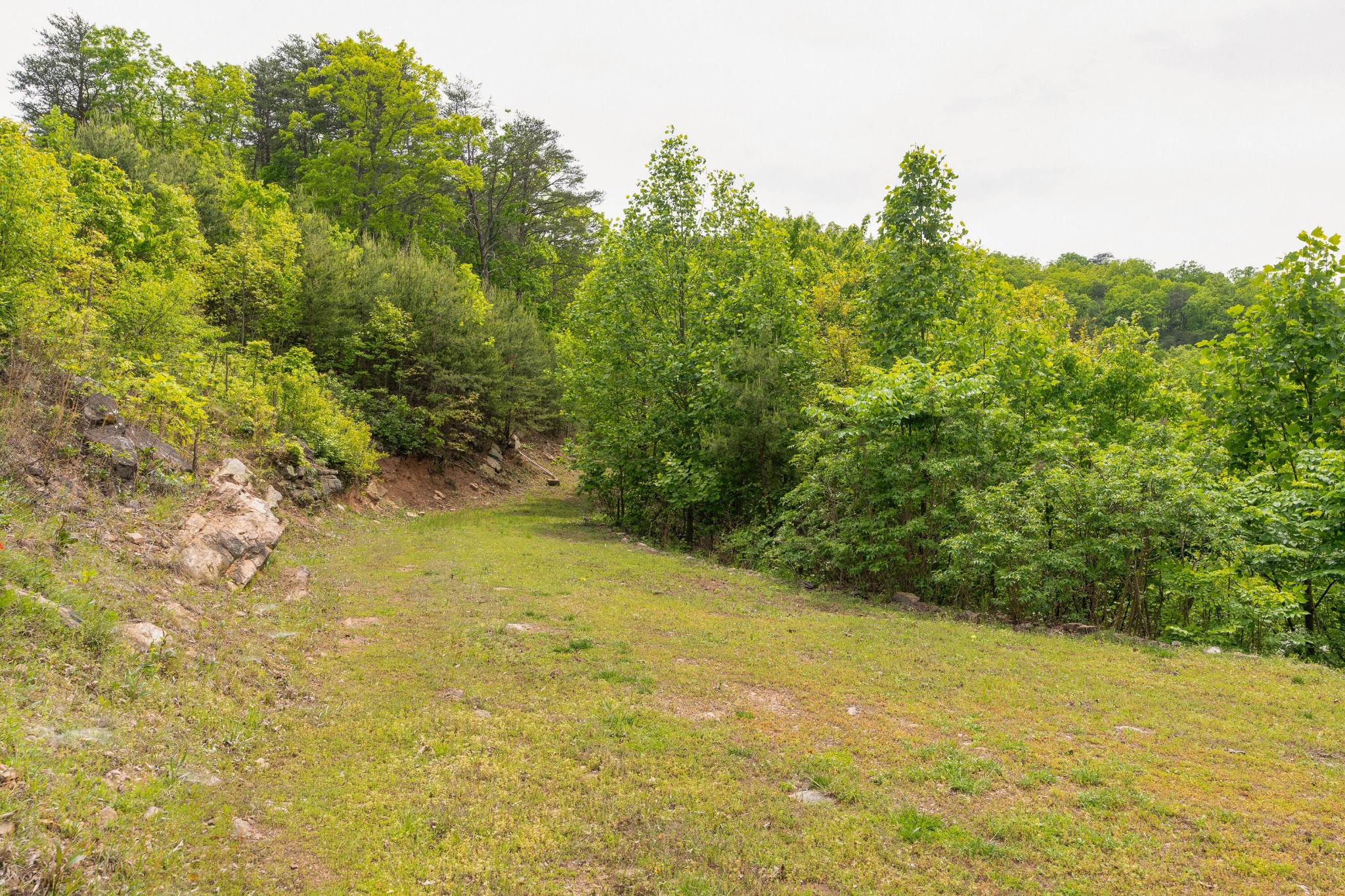 2515 Grandview Drive Property Photo 94