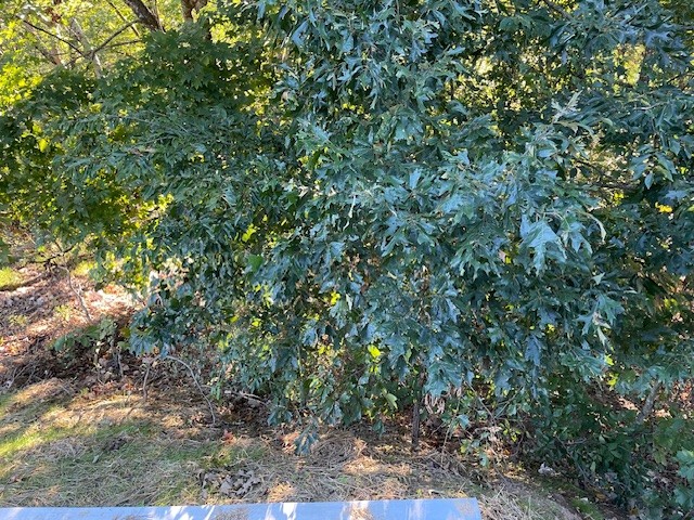1394 Tanyard Hill Rd Property Photo 22