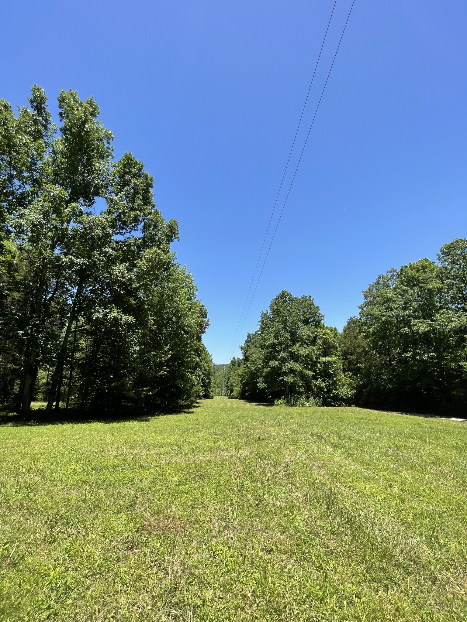 7804 Highway 412, E Property Photo 6