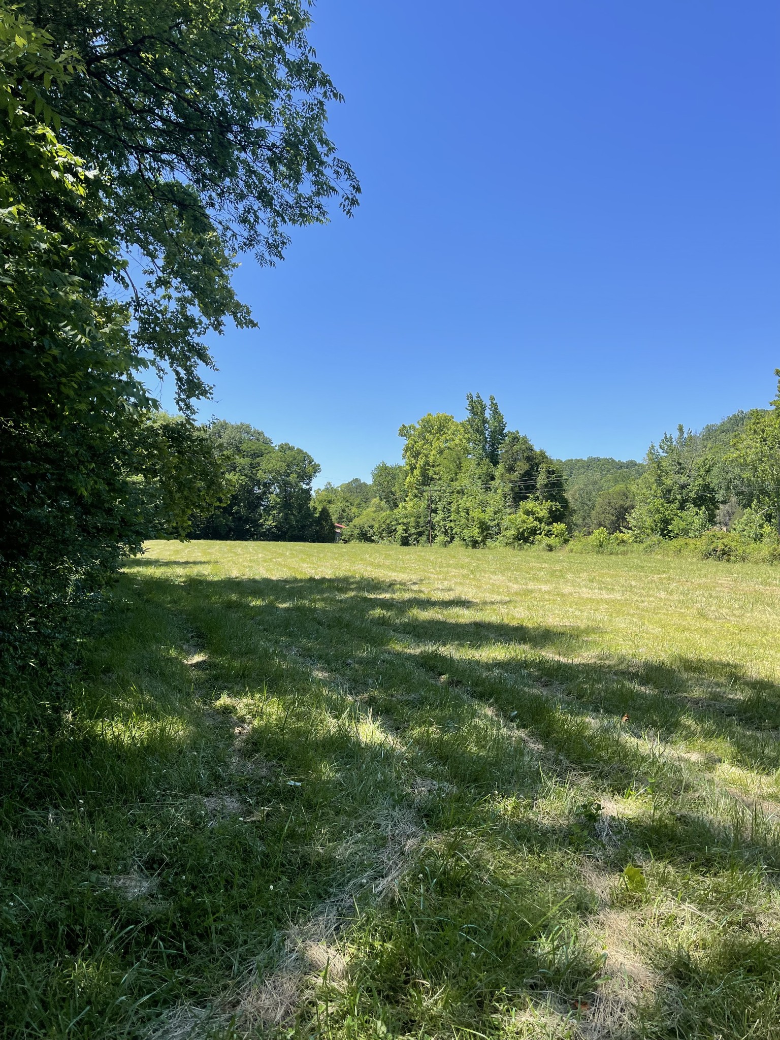 7804 Highway 412, E Property Photo 23