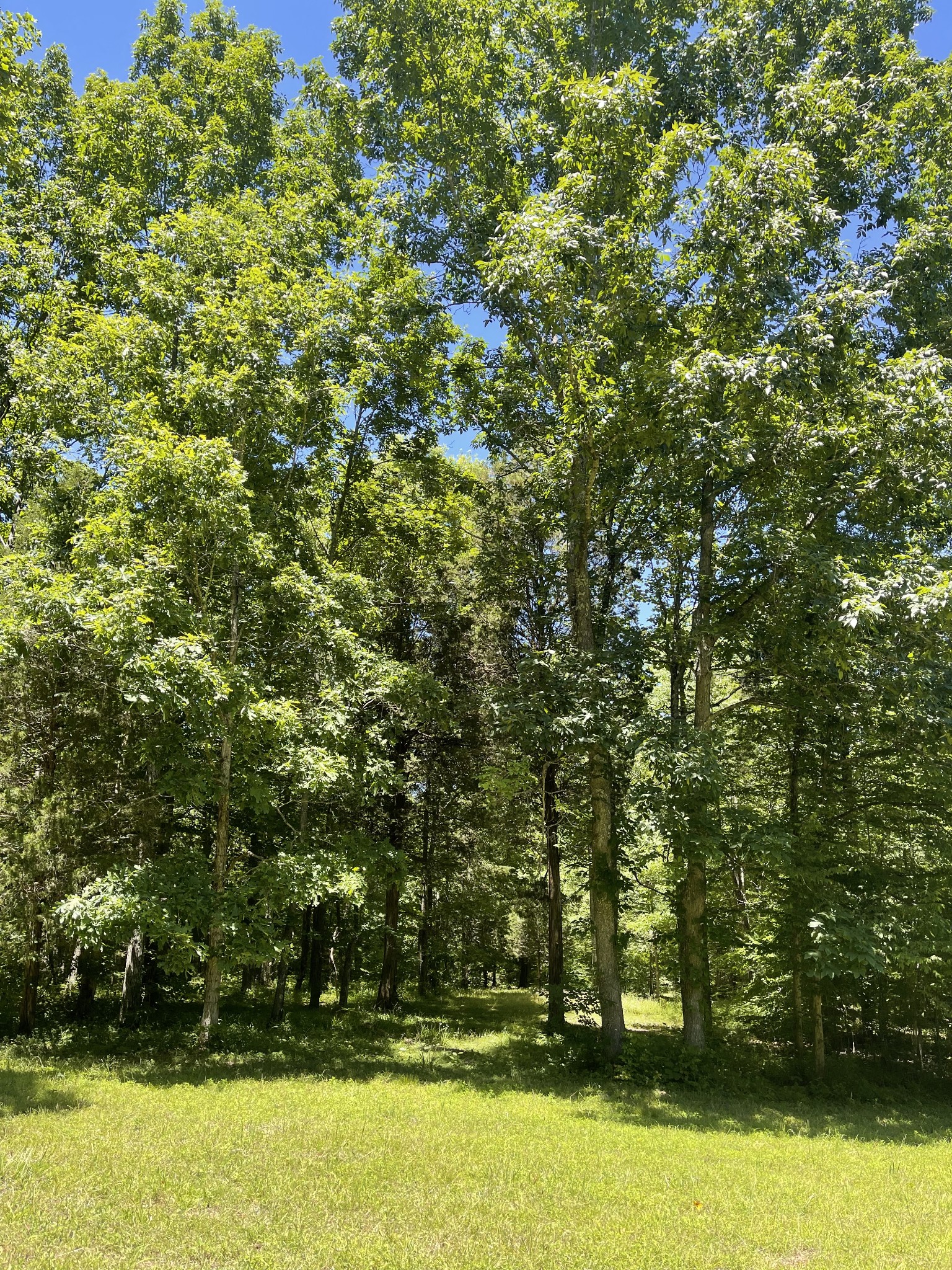 7804 Highway 412, E Property Photo 26