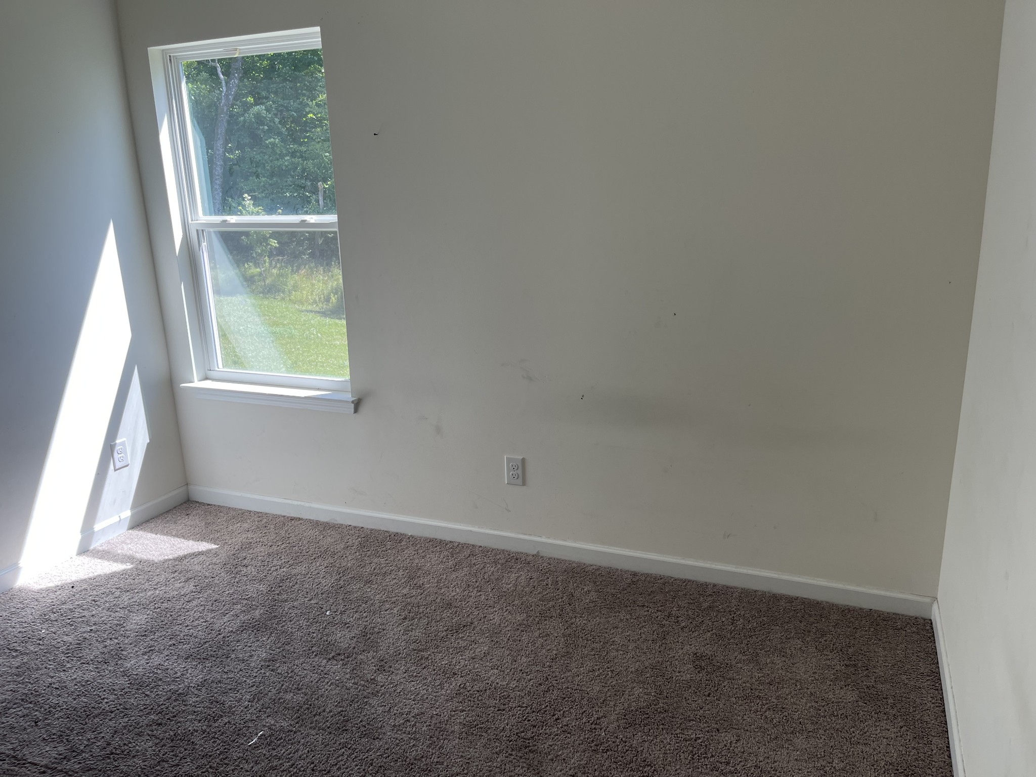 3924 Ashford Trace Property Photo 5