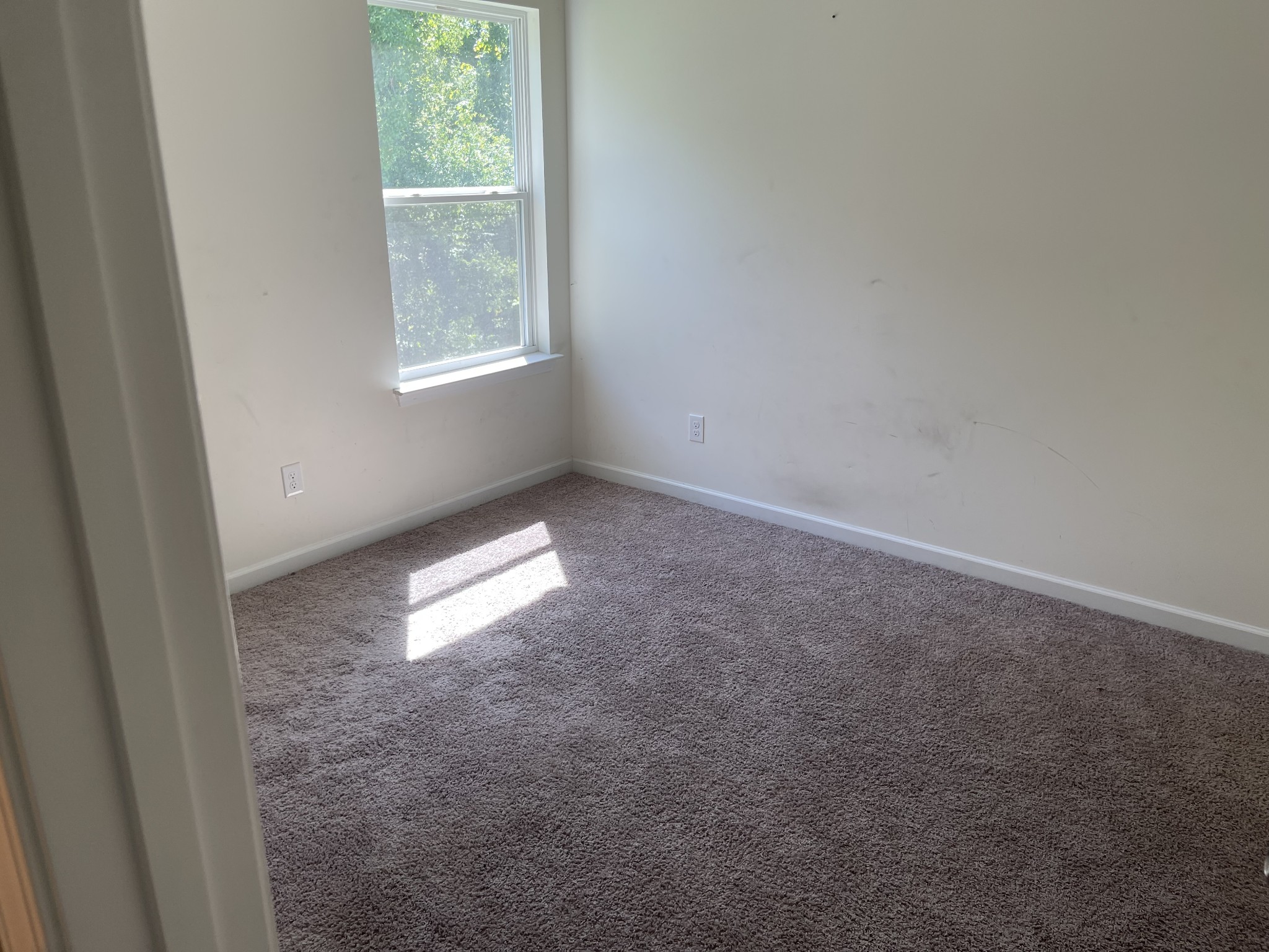 3924 Ashford Trace Property Photo 13