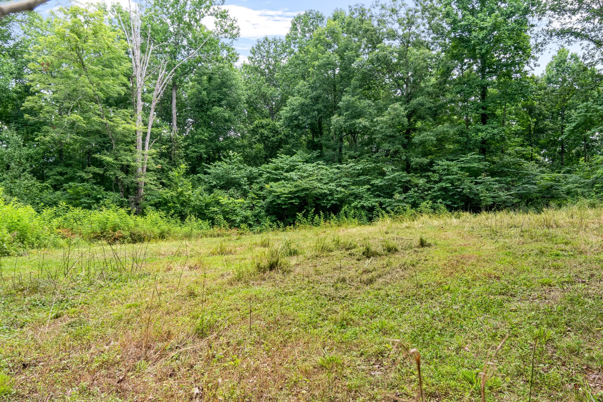136 Pack Annex Rd Property Photo 48