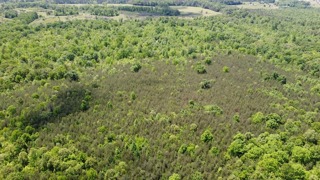 100 Goforth Rd Property Photo 2