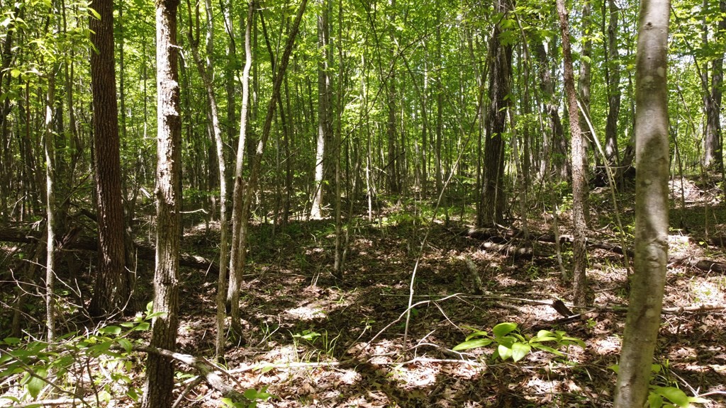 100 Goforth Rd Property Photo 12