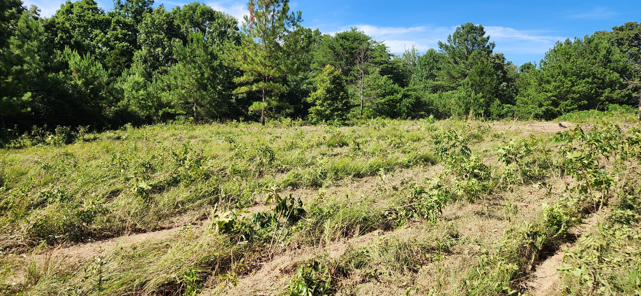 0 Aaron Lane Property Photo 1