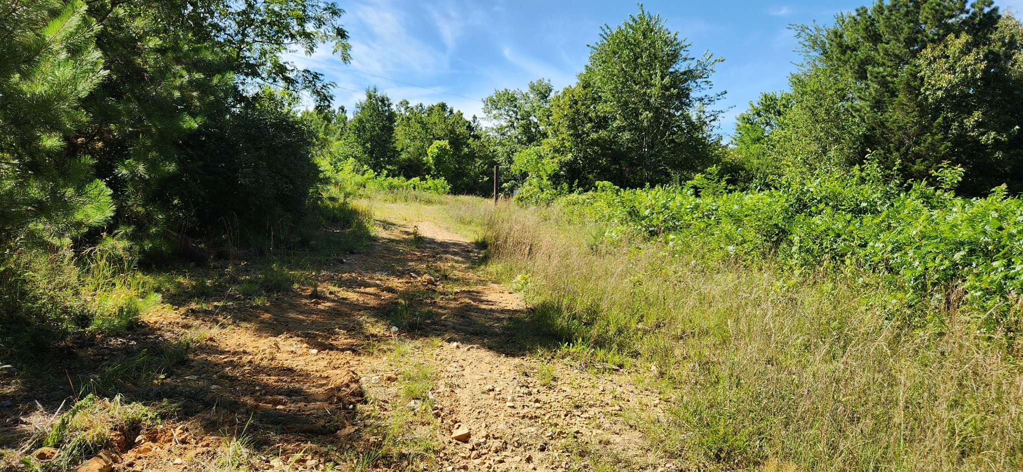 0 Aaron Lane Property Photo 5