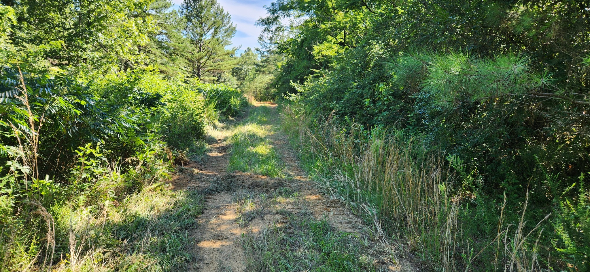 0 Aaron Lane Property Photo 6