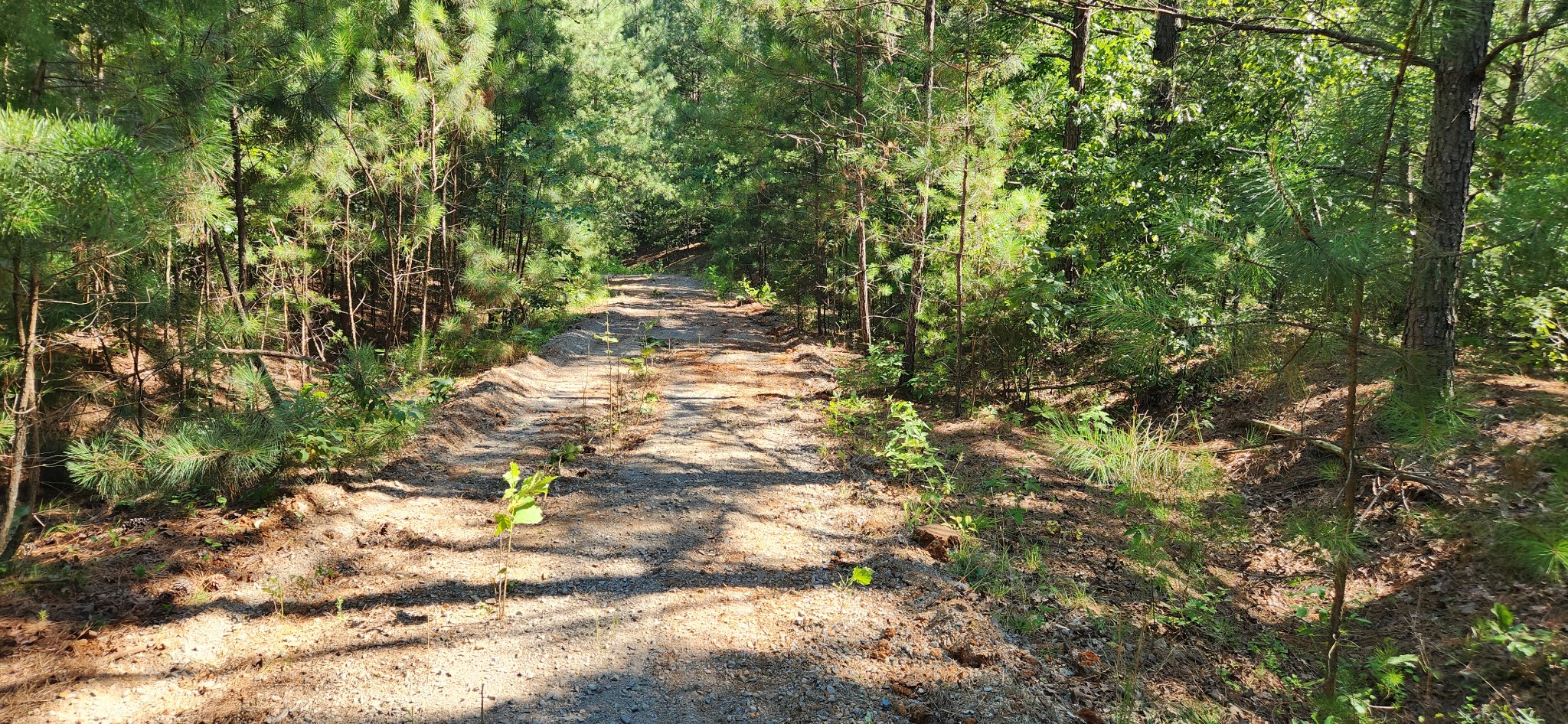0 Aaron Lane Property Photo 7