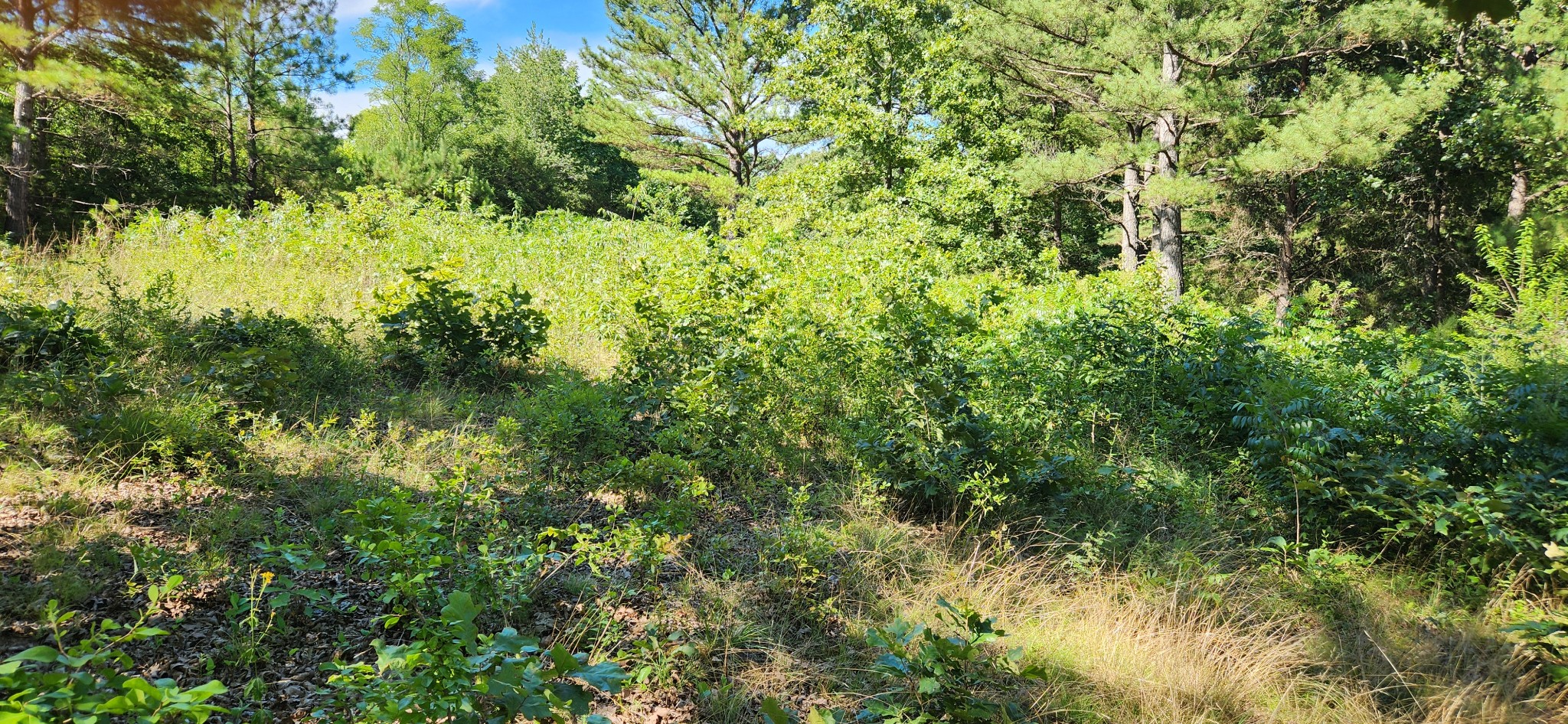 0 Aaron Lane Property Photo 8