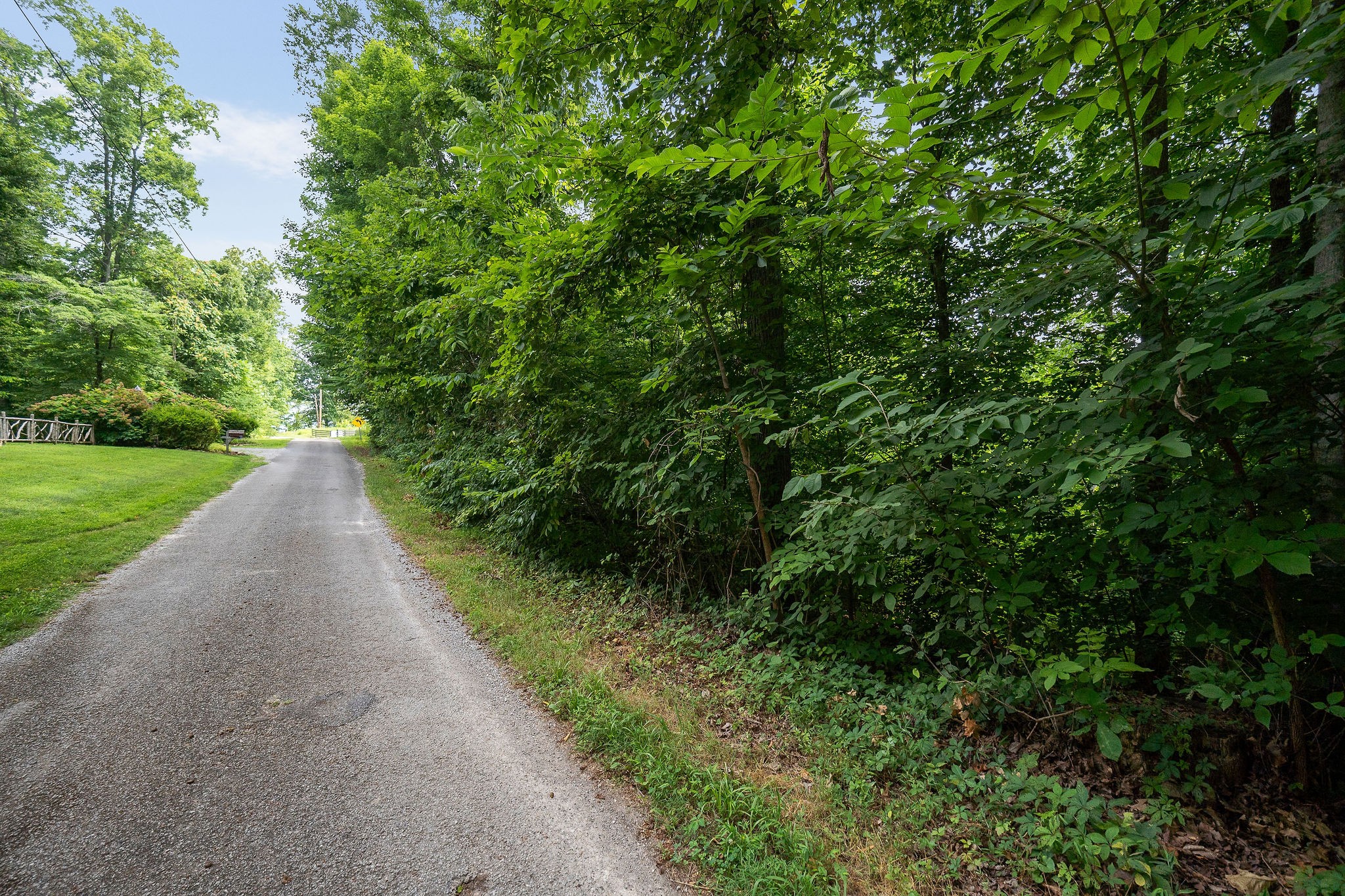 0 Backbone Rd Property Photo 18