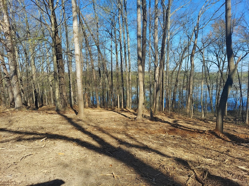 0 Elkhorn Rd Property Photo 2