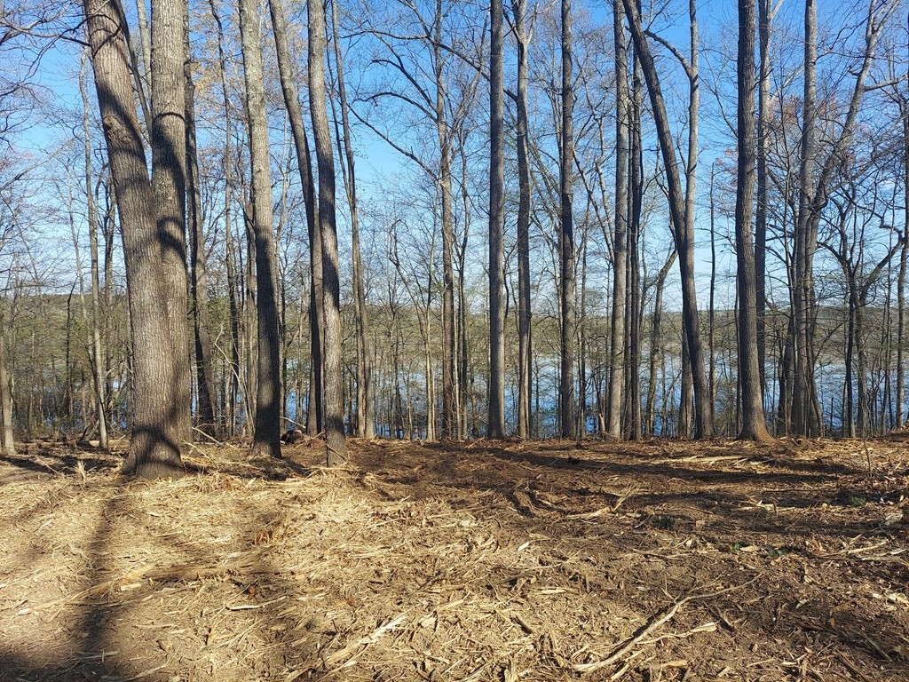 0 Elkhorn Rd Property Photo 3