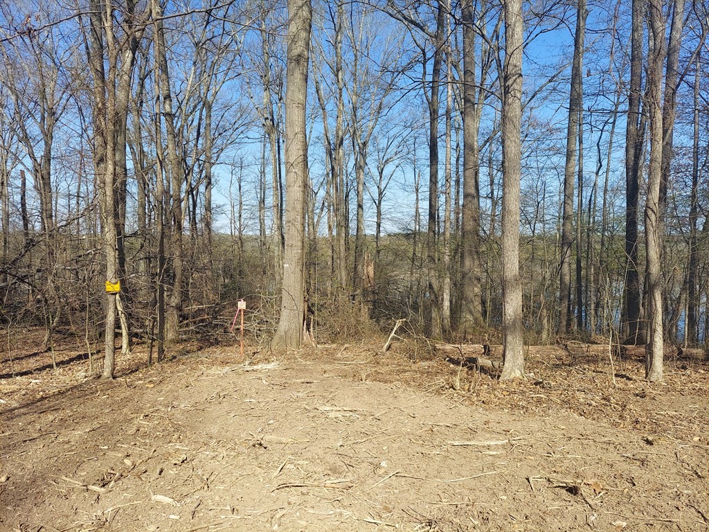 0 Elkhorn Rd Property Photo 4