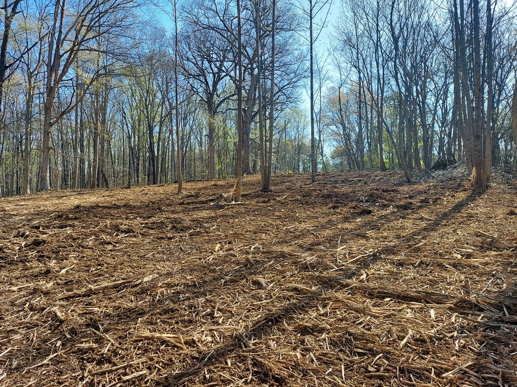 0 Elkhorn Rd Property Photo 6