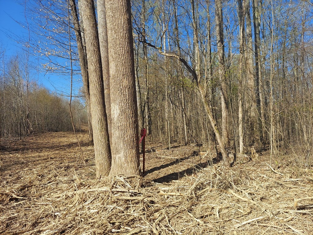 0 Elkhorn Rd Property Photo 7