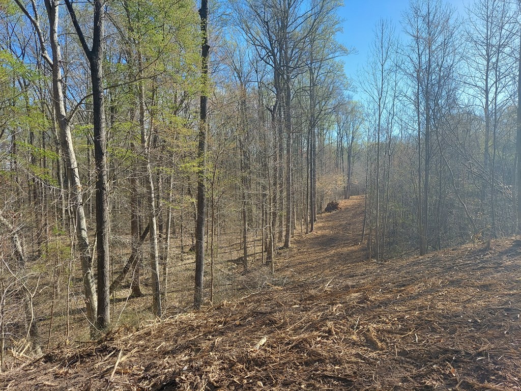 0 Elkhorn Rd Property Photo 8
