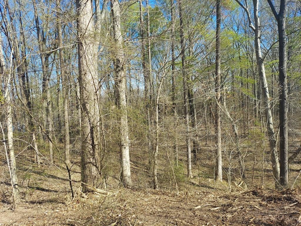 0 Elkhorn Rd Property Photo 9