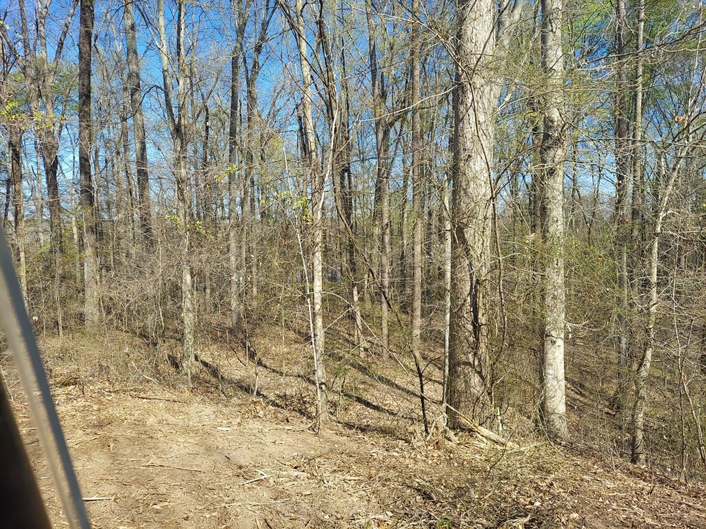 0 Elkhorn Rd Property Photo 10