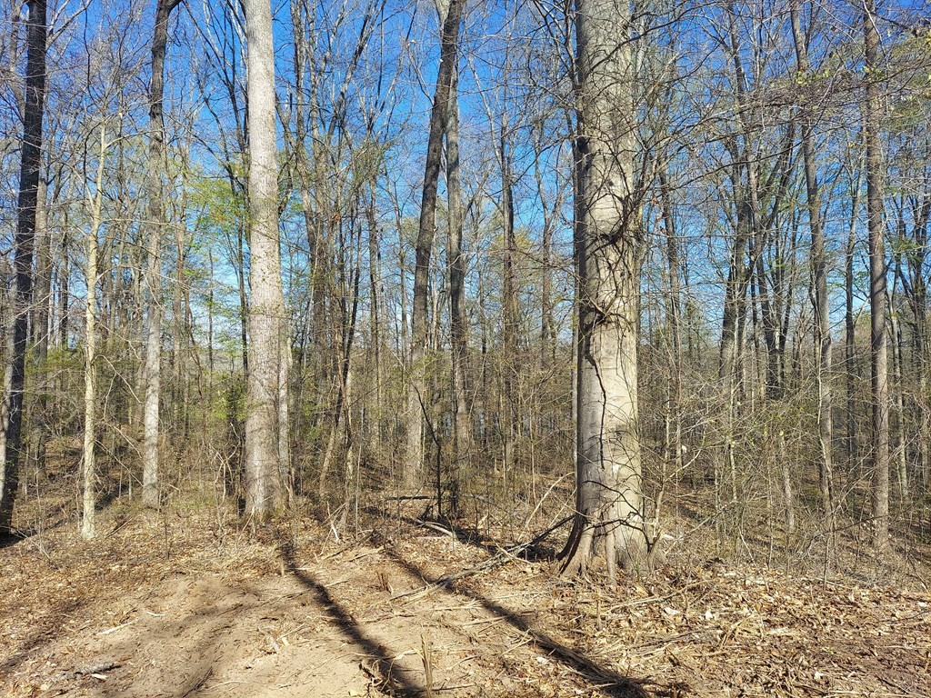 0 Elkhorn Rd Property Photo 11