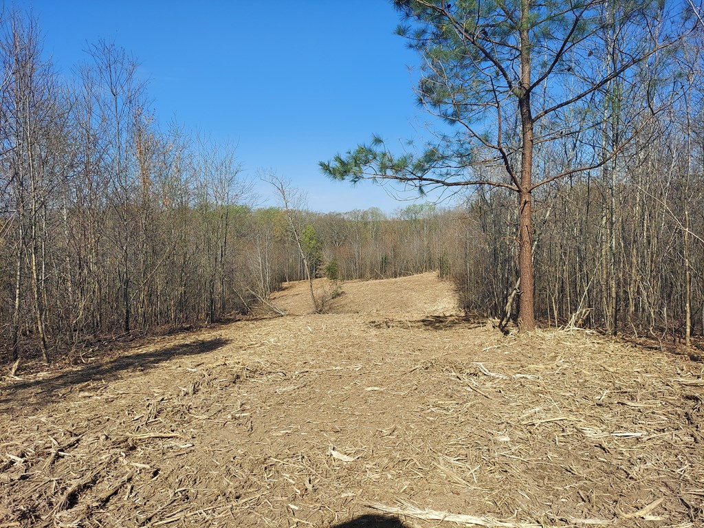 0 Elkhorn Rd Property Photo 12