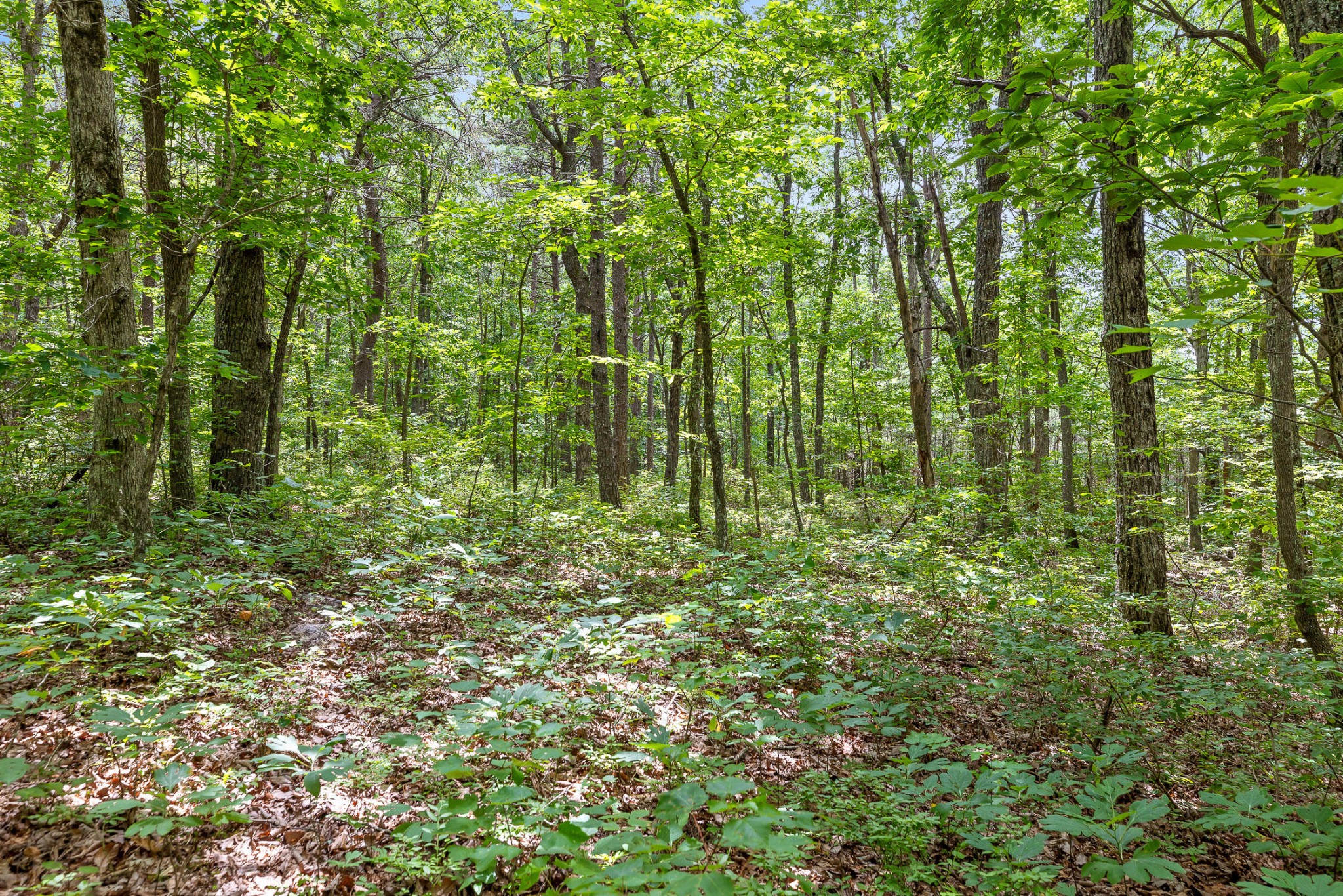 27 Highway 157 Property Photo 22