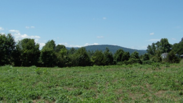 0 Ranchside Court Property Photo 13