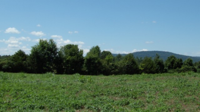 0 Ranchside Court Property Photo 14