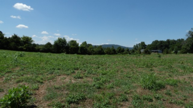 0 Ranchside Court Property Photo 15