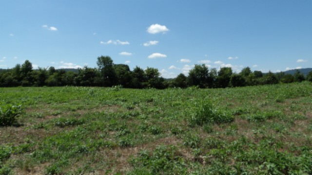 0 Ranchside Court Property Photo 20