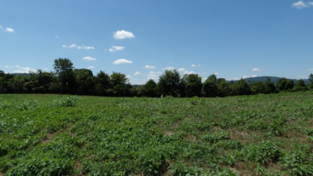 0 Ranchside Court Property Photo 21