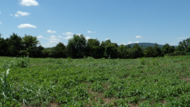 0 Ranchside Court Property Photo 22
