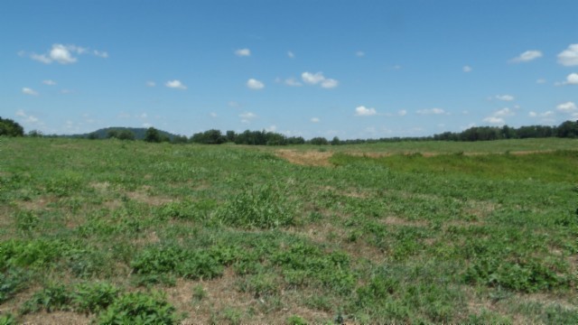 0 Ranchside Court Property Photo 23