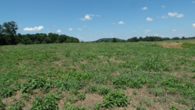 0 Ranchside Court Property Photo 24