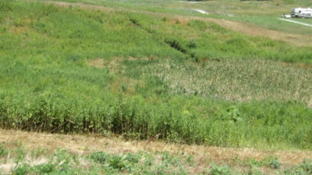 0 Ranchside Court Property Photo 26