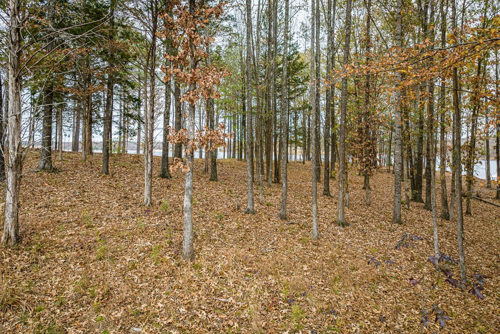 0 Shoreline Dr Property Photo 19