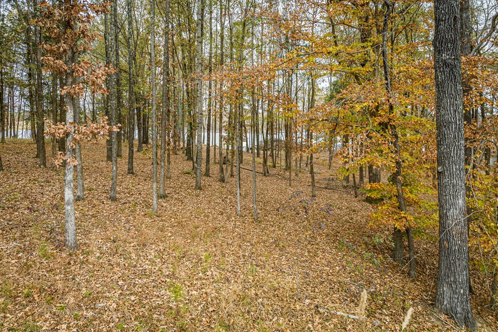 0 Shoreline Dr Property Photo 21