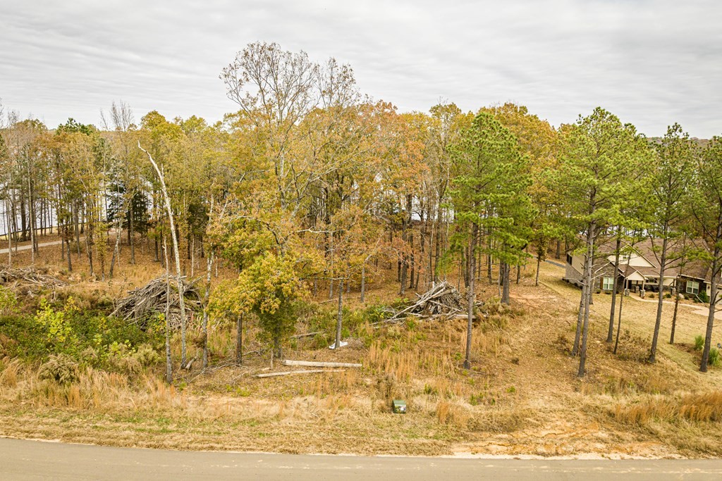 0 Shoreline Dr Property Photo 24