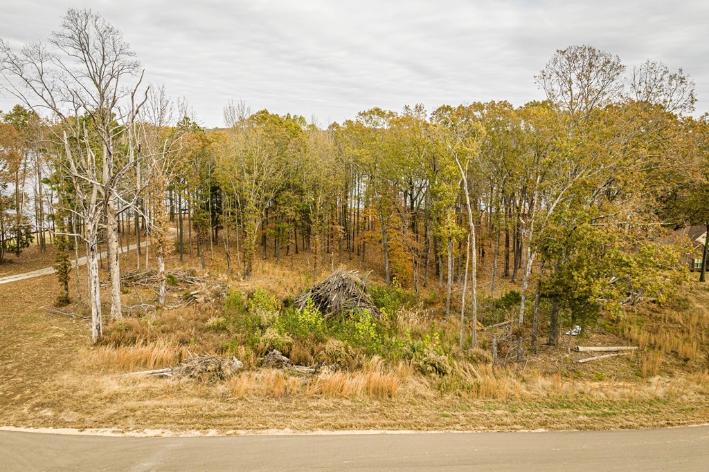 0 Shoreline Dr Property Photo 25