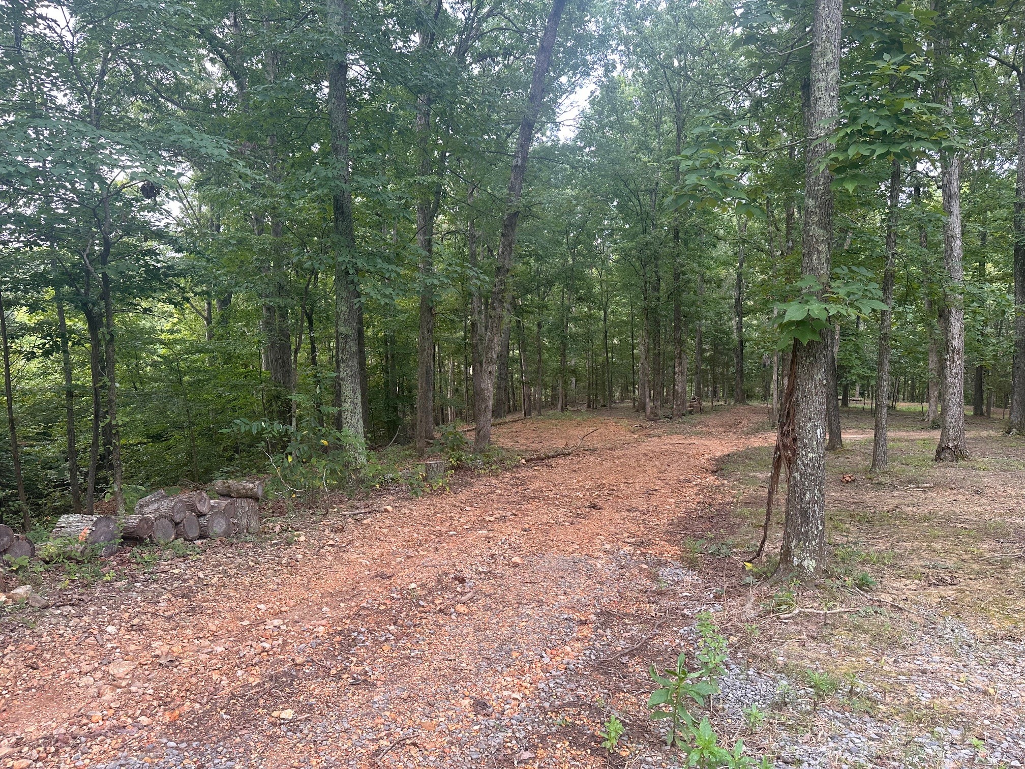 270 Country Lane Property Photo 6