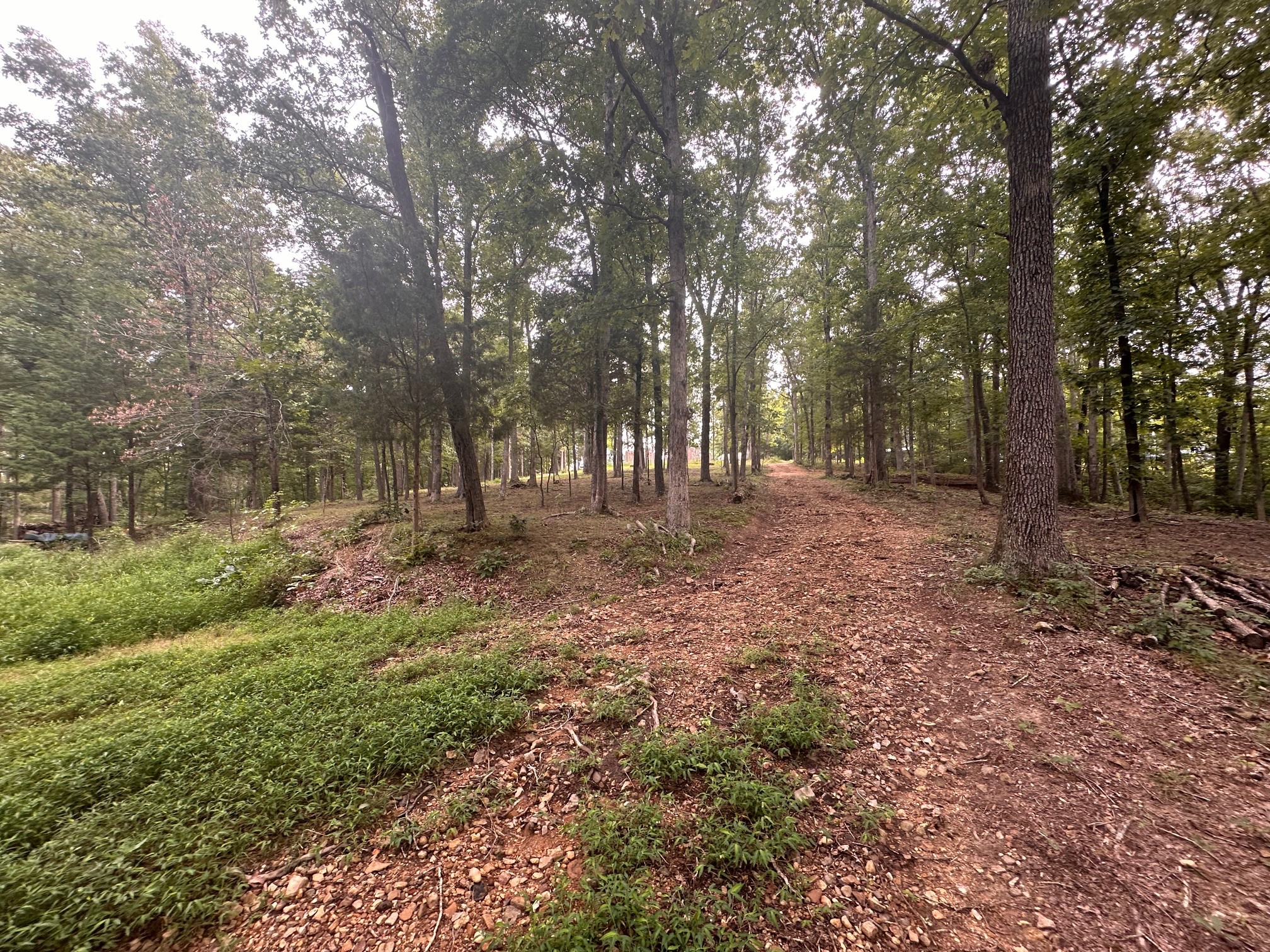 270 Country Lane Property Photo 18
