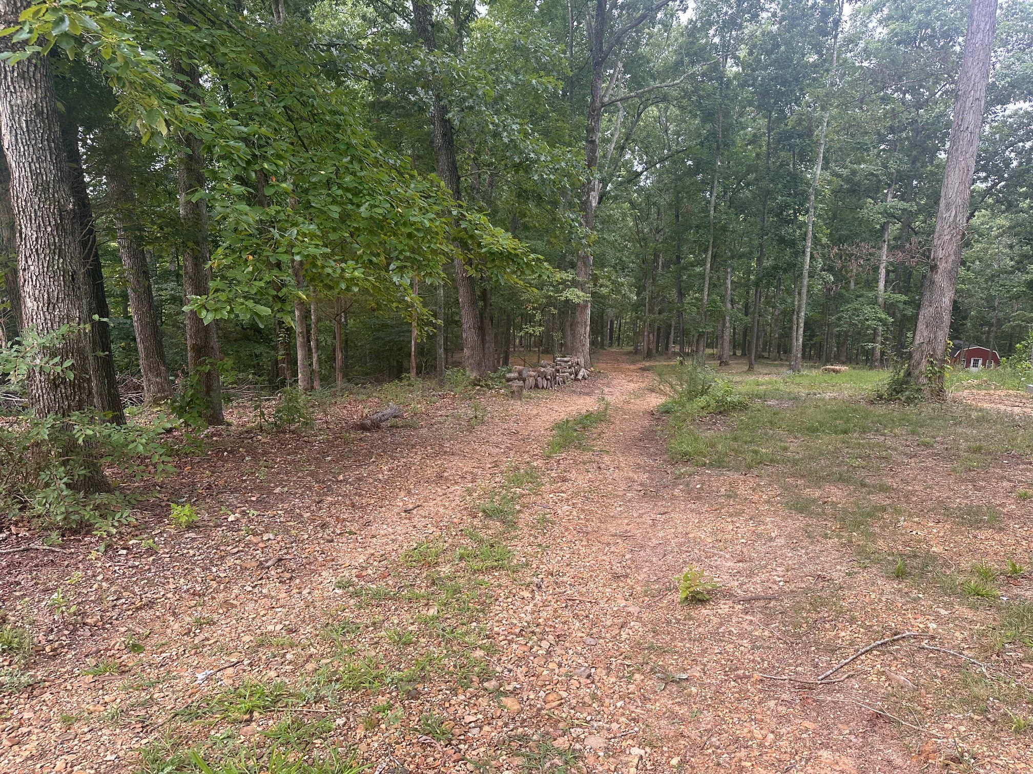 270 Country Lane Property Photo 25
