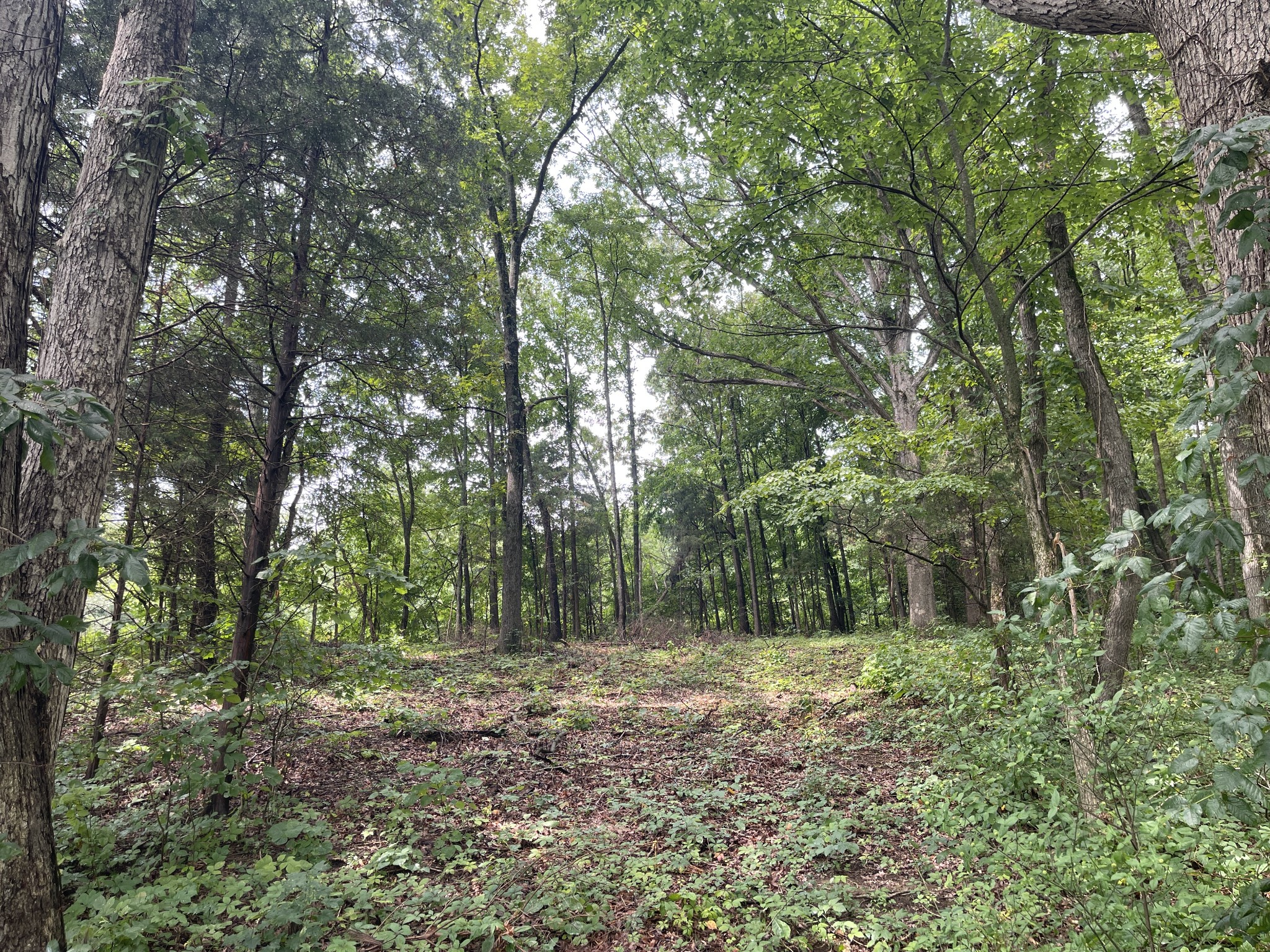 512 N Happy Hollow Rd Property Photo 3