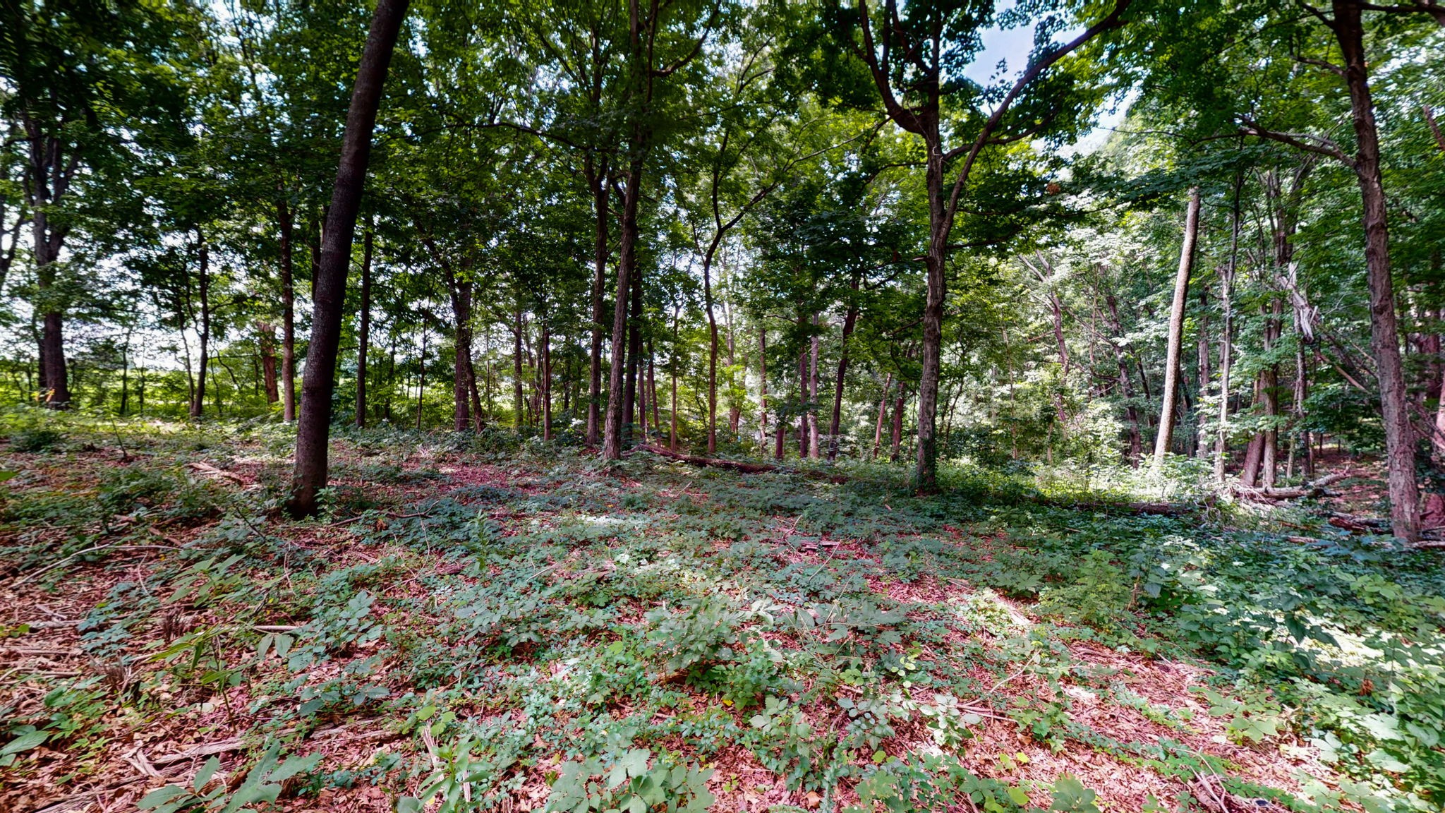 512 N Happy Hollow Rd Property Photo 16