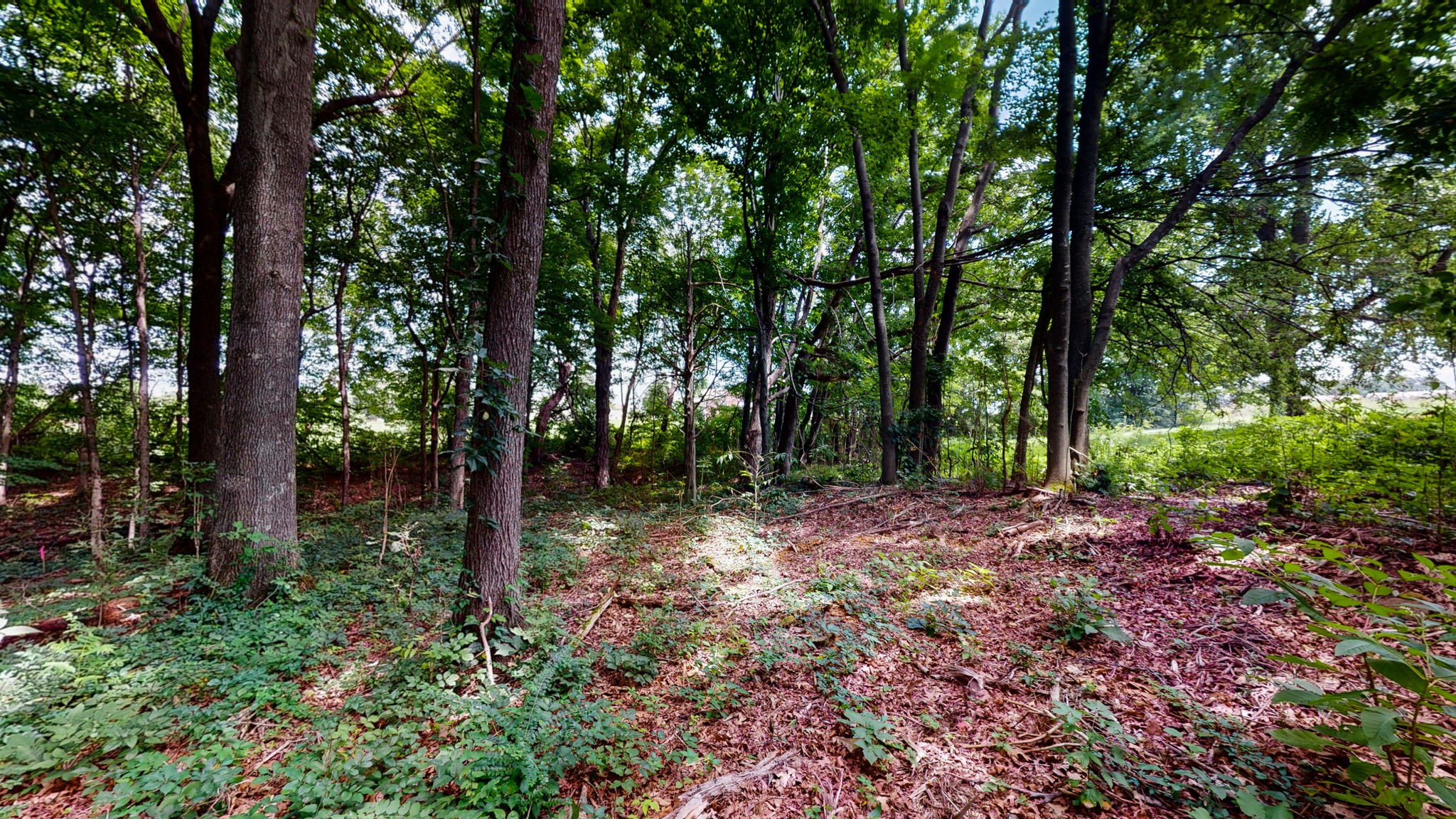 512 N Happy Hollow Rd Property Photo 17