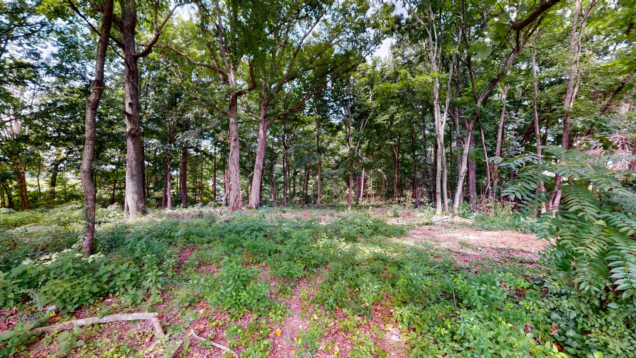 512 N Happy Hollow Rd Property Photo 21
